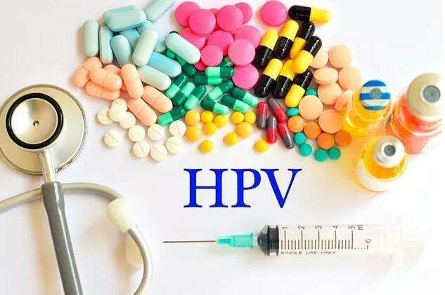 ׸Ԥ֢硪hpv